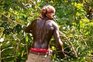 machetecuttingthebush